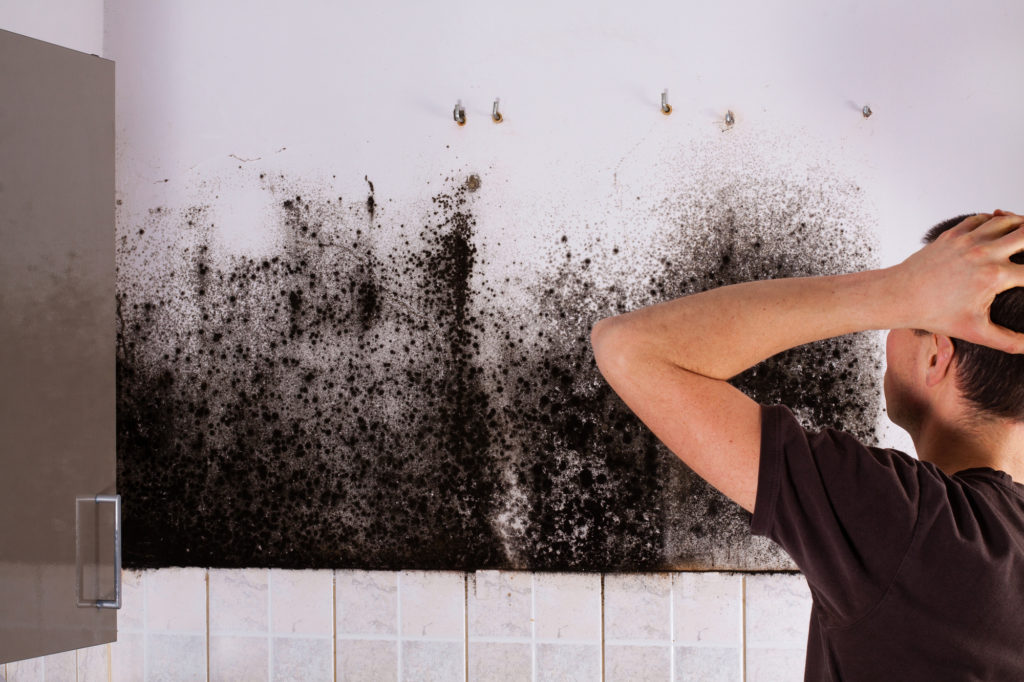 Causes of Mold in Your Home and How to Prevent It