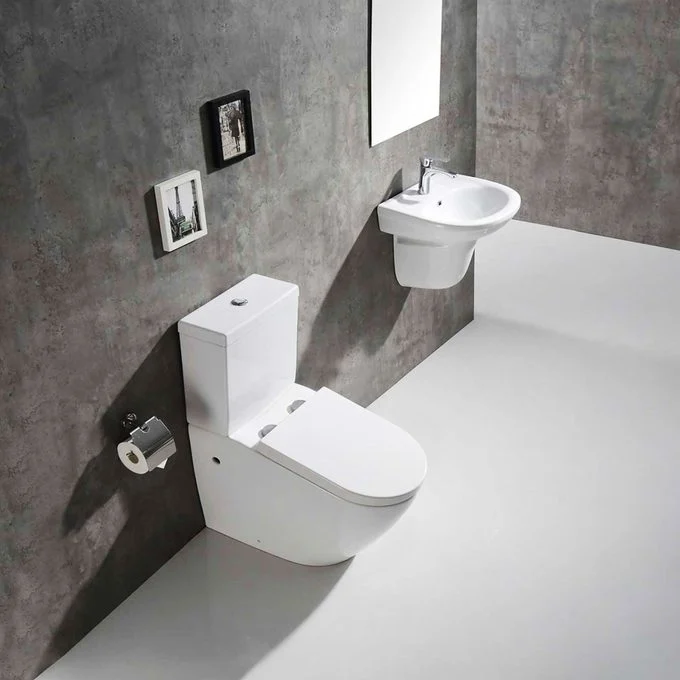 Choosing the Perfect Toilet for Your Home